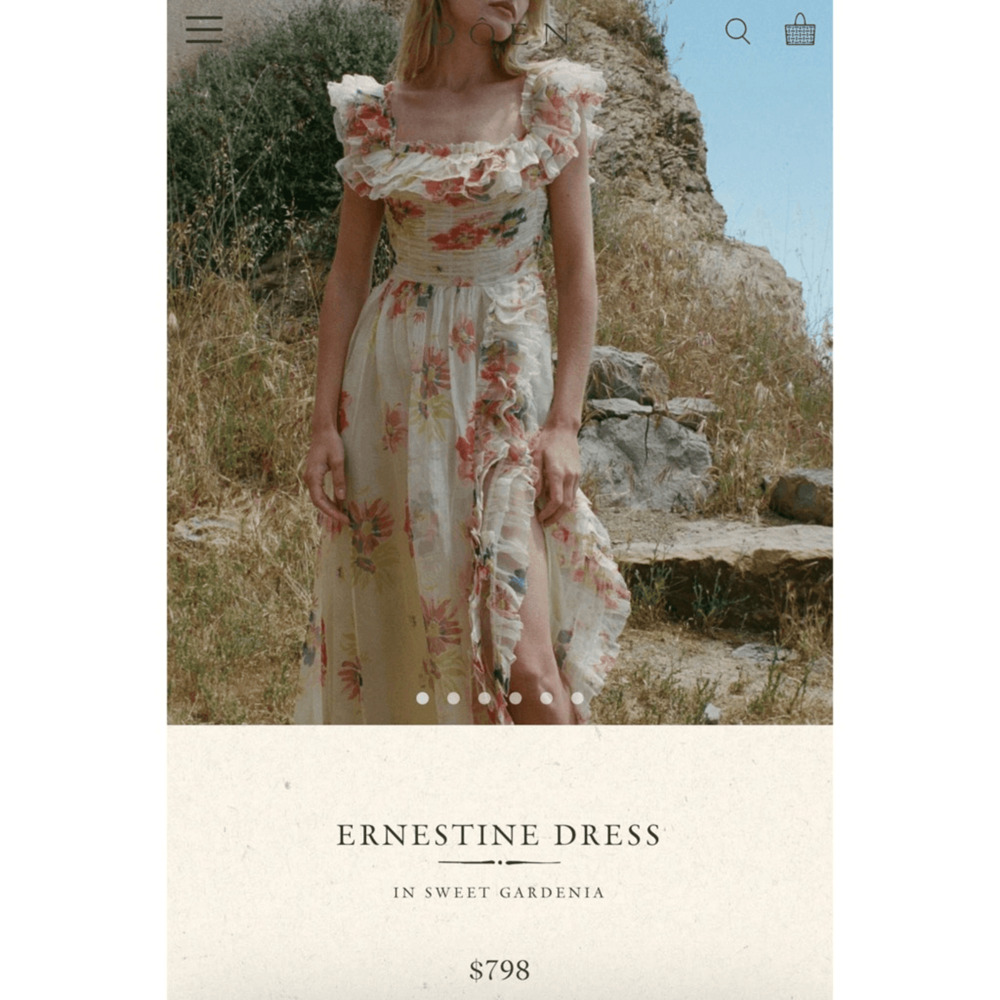 Doen Ernestine Dress RARE Sweet Gardenia Silk Organza Maxi SZ L Fairy Coquette - Picture 4 of 16